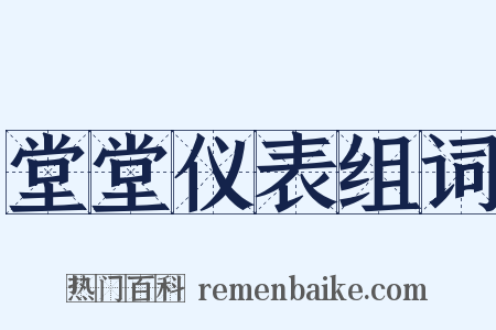 堂堂仪表组词是什么意思的图片
